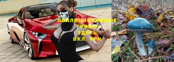 дурь Абинск